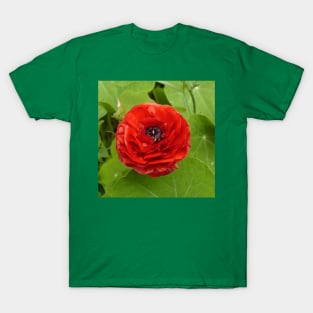 Ranunculus T-Shirt